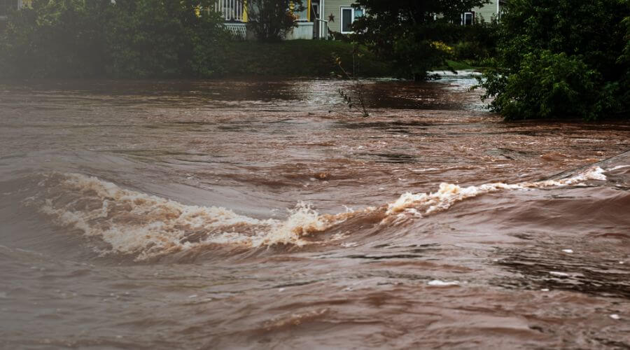 Why choose Buena Vista Water Damage Restoration for water damage restoration in Buena Vista